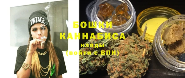 ГАЛЛЮЦИНОГЕННЫЕ ГРИБЫ Арсеньев