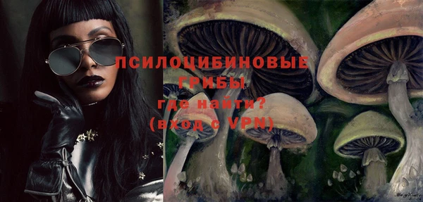 соль курить ск Ветлуга