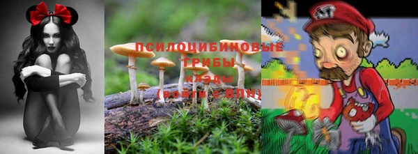 метадон Аркадак