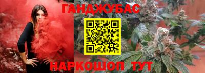 индика Усть-Илимск
