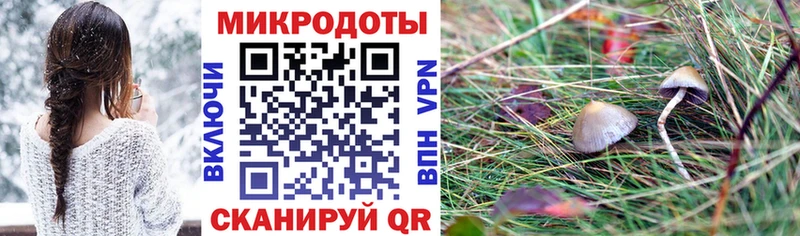Галлюциногенные грибы MAGIC MUSHROOMS  наркотики  Заинск 